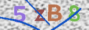 CAPTCHA-Bild